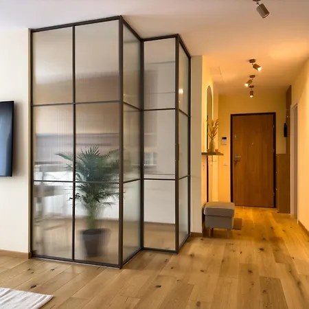 Cozy Elegant With Mountain Views & Parking Apartment