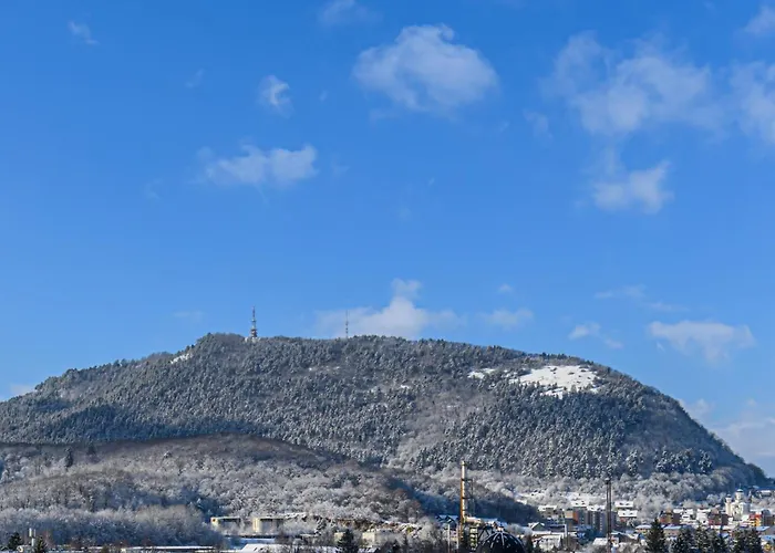 Cozy Elegant With Mountain Views & Parking 公寓