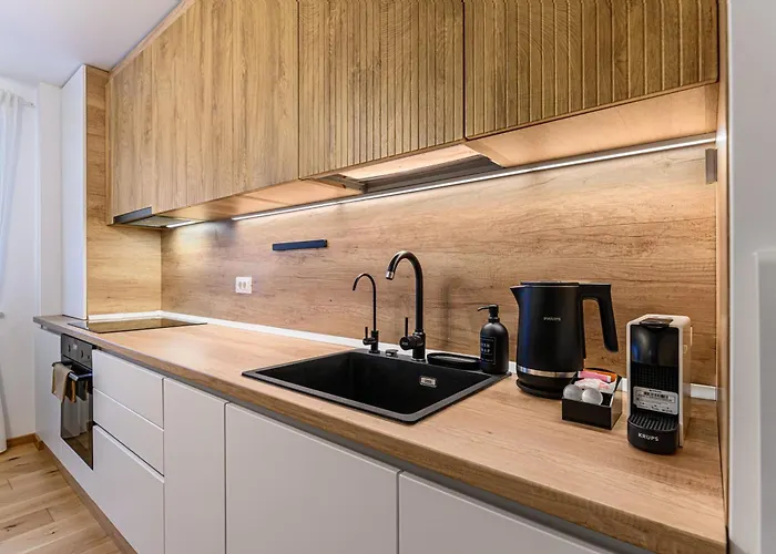 Cozy Elegant With Mountain Views & Parking 公寓 布拉索夫