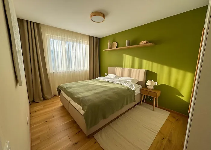 Cozy Elegant With Mountain Views & Parking 公寓 布拉索夫