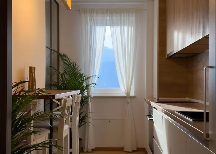 Cozy Elegant With Mountain Views & Parking 公寓 布拉索夫